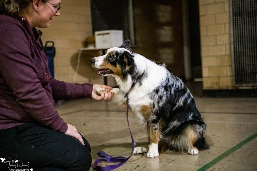 Flash Go. Dog Training | 2886 London Line, Sarnia, ON N7T 7H2, Canada | Phone: (519) 466-5819