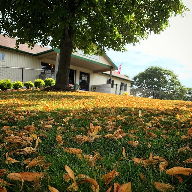 Wedges N Woods Golf Academy | 155 Can-Amera Pkwy, Cambridge, ON N1R 8R6, Canada | Phone: (519) 621-9233