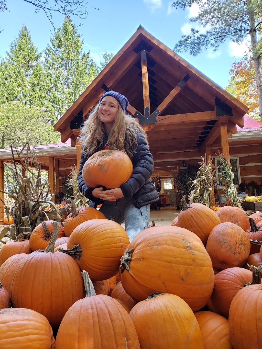Fall Harvest Farm | 1011 Gerber Rd, St. Agatha, ON N0B 2L0, Canada | Phone: (226) 791-7601