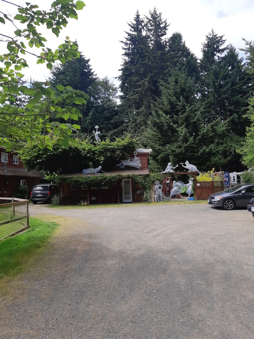 Comfy Cat Boarding Kennel | 5320 Island Hwy W, Qualicum Beach, BC V9K 1Z2, Canada | Phone: (250) 757-9991