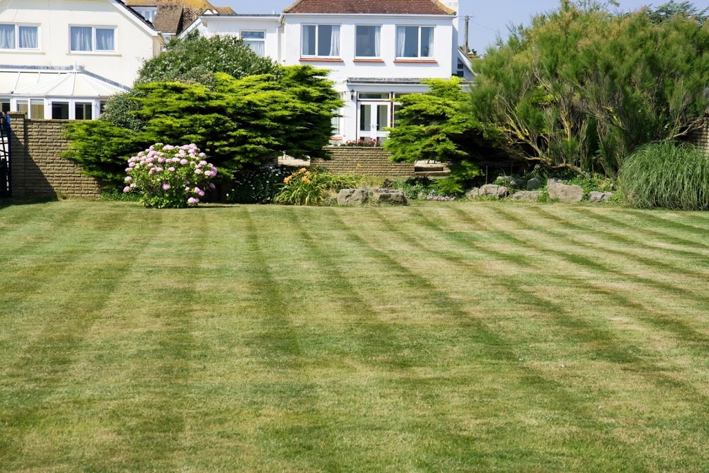 Grass Cutters | 6456 Dorchester Rd, Niagara Falls, ON L2G 5T5, Canada | Phone: (905) 325-5704