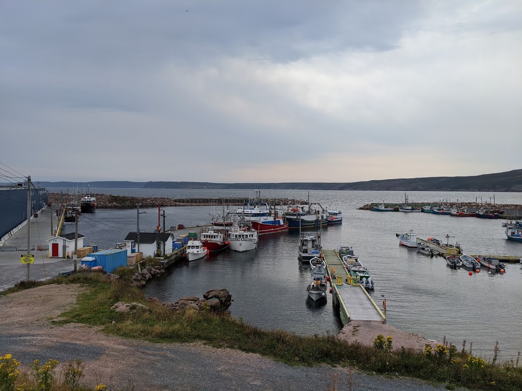 Bay De Verde Heritage House | 7 Blundon Point, Bay de Verde, NL A0A 1E0, Canada | Phone: (709) 587-2766