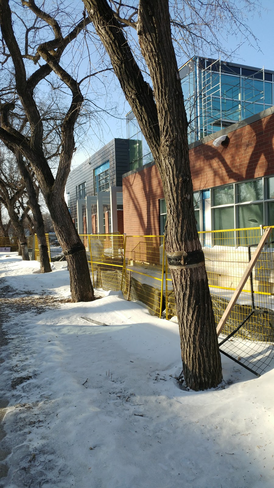 École Connaught Community School | 3515 13th Ave, Regina, SK S4T 1P9, Canada | Phone: (306) 523-8620