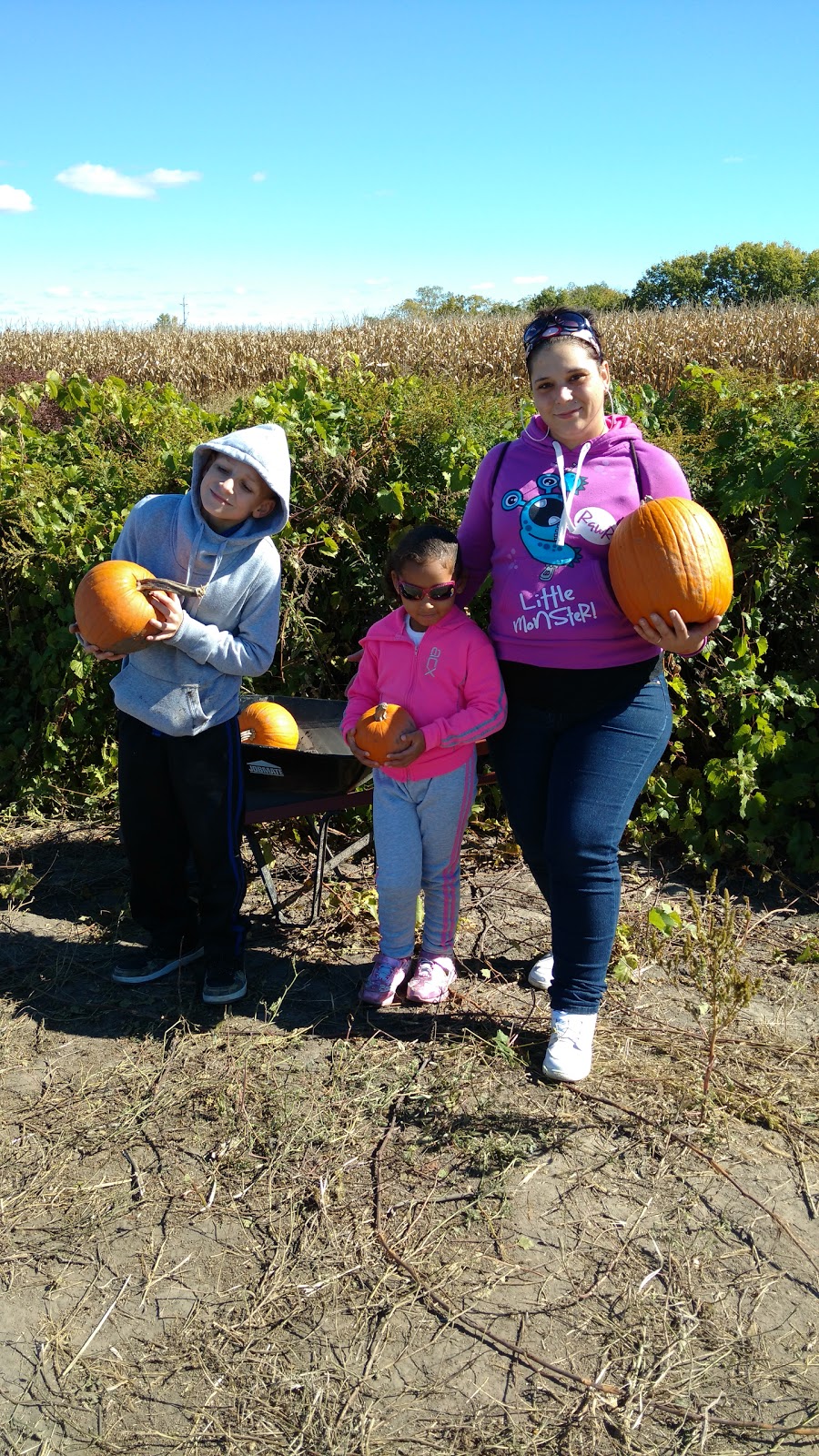 THE TILBILLY HALLOWEEN VILLAGE | 17825 Tecumseh Rd, Tilbury, ON N0P 2L0, Canada | Phone: (519) 437-8701