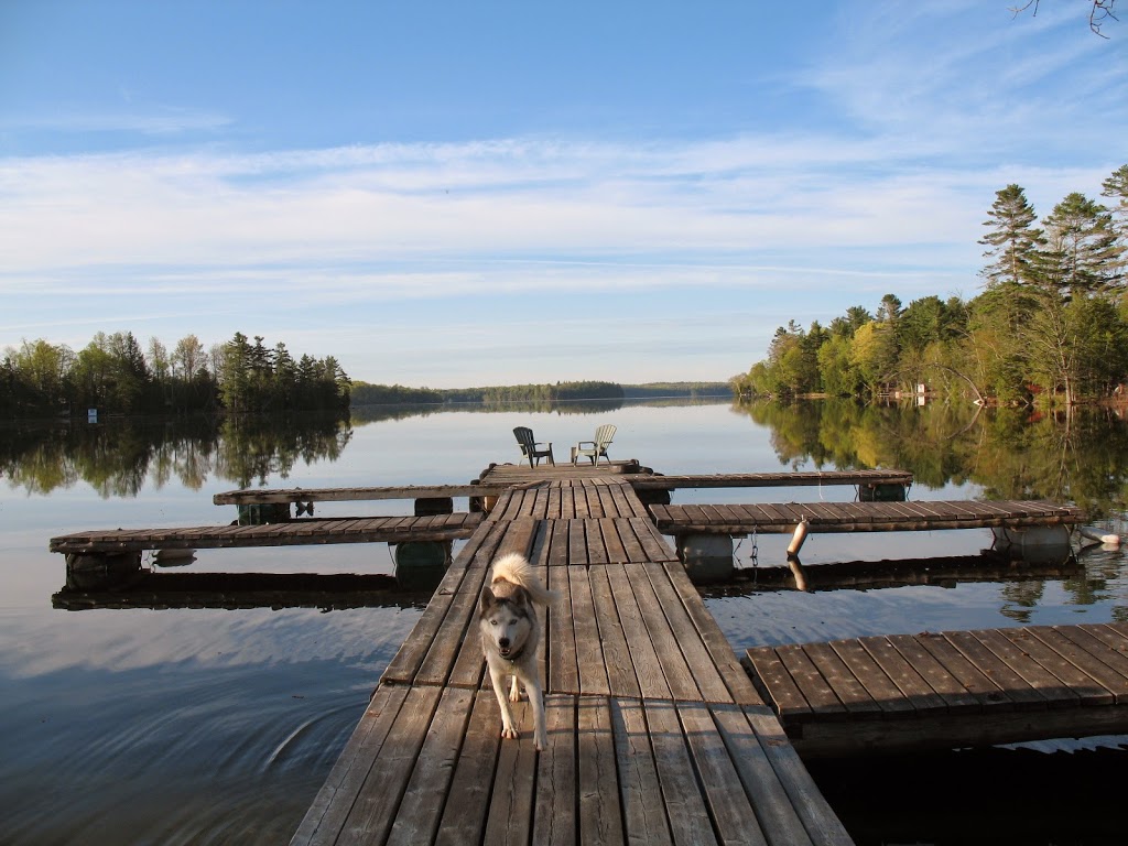 Irwins Cabins Cabin Rental | 695 Burns Ln, Godfrey, ON K0H 1T0, Canada | Phone: (613) 539-3022
