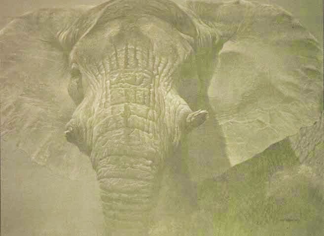 Bateman Family Art | 435 Stewart Rd, Salt Spring Island, BC V8K 2C4, Canada | Phone: (877) 411-9440
