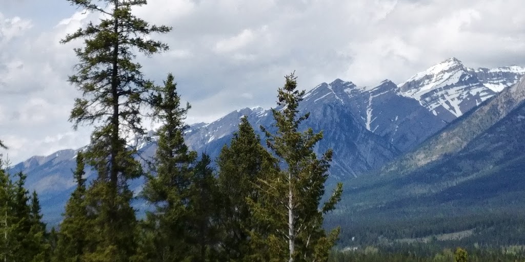 GO FIGURE FIT | 102 Boulder Crescent #207, Canmore, AB T1W 1L2, Canada | Phone: (403) 678-2846