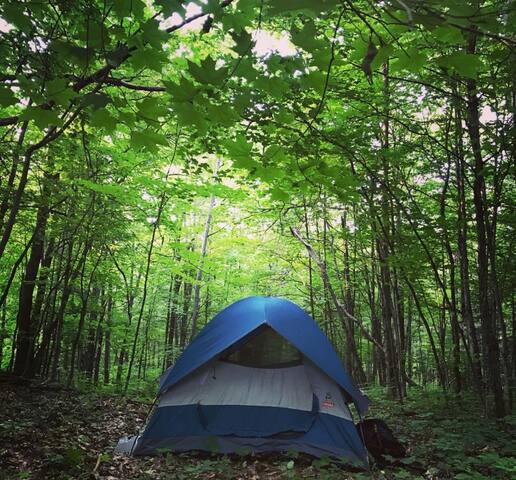 SelfbuildSustainable | 33660 Hwy 28, Reaboro, ON K0L 2X0, Canada | Phone: (647) 909-0445