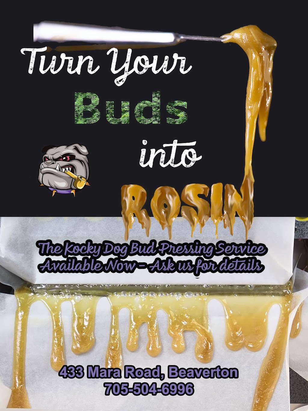 Your Bong Shop | 435 Mara Rd Unit B, Beaverton, ON L0K 1A0, Canada | Phone: (905) 960-4519