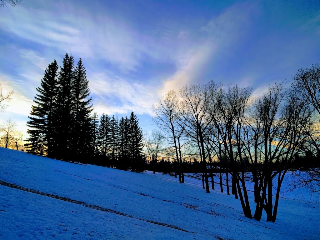 Varsity Ravine Park | 39 Varsity Ridge Terrace NW, Calgary, AB T3A 4Y2, Canada