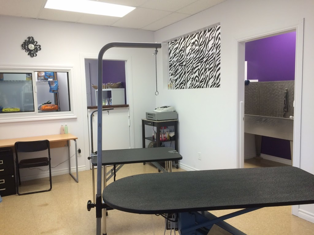 Beauté Animale Caro-Lyne | 158 Rue Olivier, Saint-Alphonse-de-Granby, QC J0E 2A0, Canada | Phone: (450) 956-1641