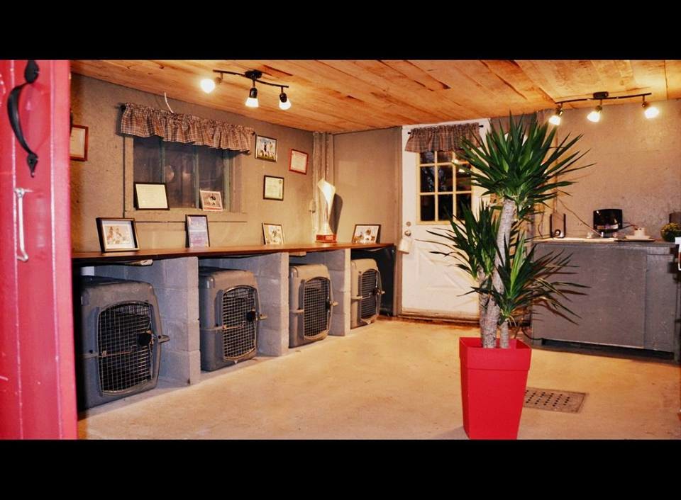 Adorable Doggytown | 322 Chem. du Ruisseau, Saint-Jacques-le-Mineur, QC J0J 1Z0, Canada | Phone: (514) 846-3444