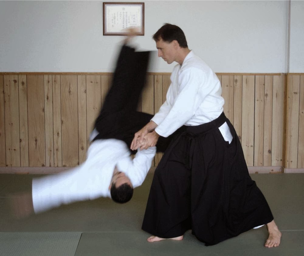 Peaceful Warrior Dojo | 400 W Front St, Stirling, ON K0K 3E0, Canada | Phone: (613) 243-5683