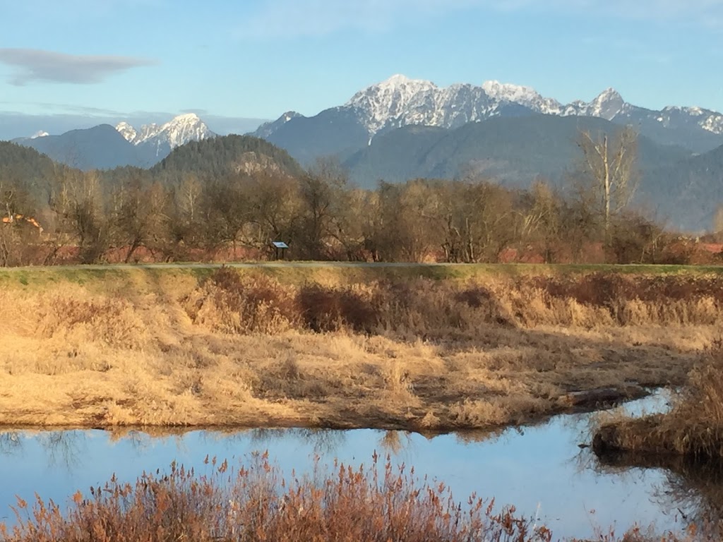 De Boville Slough | 4110 Cedar Dr, Coquitlam, BC V3E 3H7, Canada | Phone: (604) 927-7946