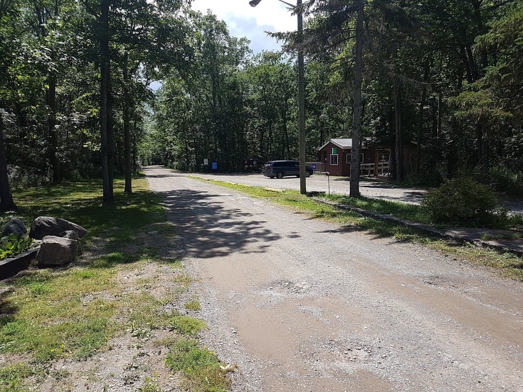 Selkirk Provincial Park | 151 Wheeler’s Sideroad, Selkirk, ON N0A 1P0, Canada | Phone: (905) 776-2600