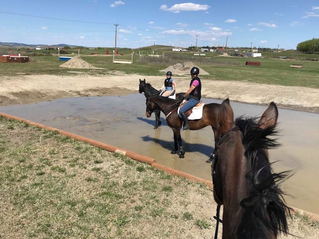 Tristar Equestrian Centre Hunter/Jumper/Eventing | 271104, Range Rd 20, Airdrie, AB T0B 2A3, Canada | Phone: (403) 948-7472