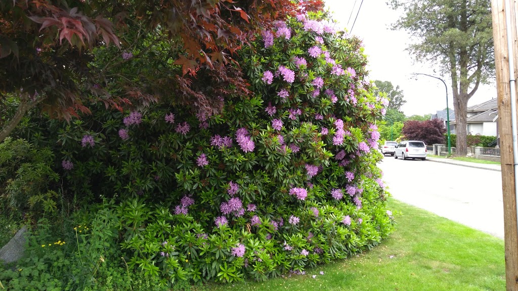 Wesburn Park | 4781 Parkwood Ave, Burnaby, BC V5G 3C6, Canada | Phone: (604) 294-7450