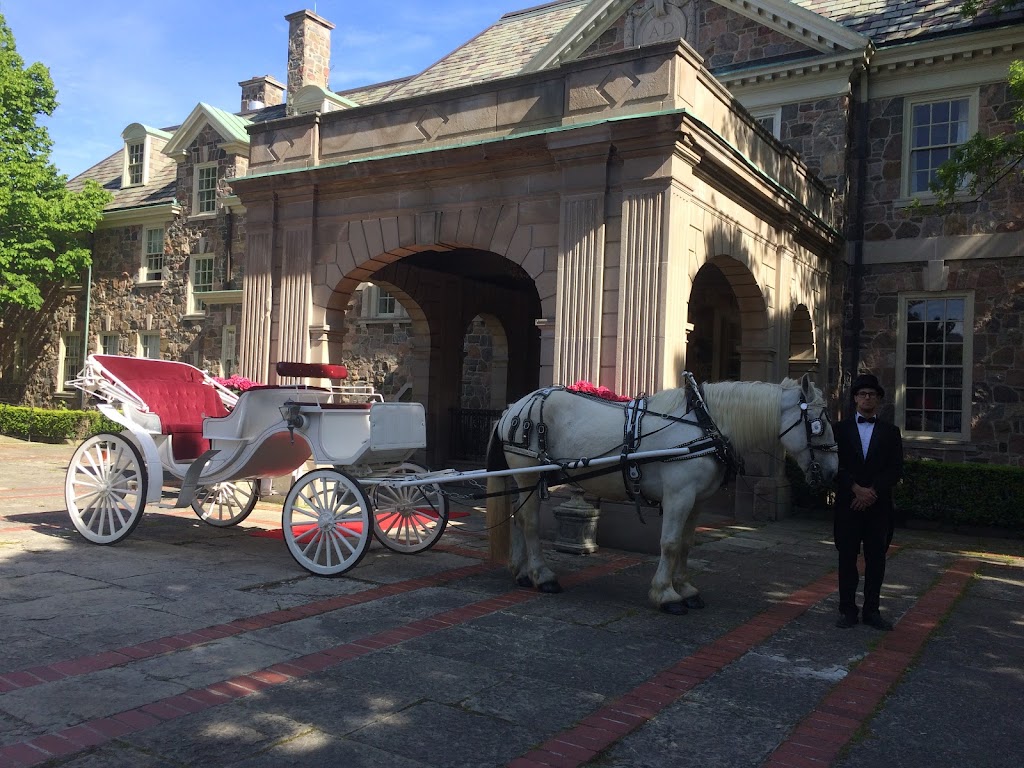 Fairytale Horse and Carriage | 473262 Dufferin County Road 11, Laurel, ON L0N 1L0, Canada | Phone: (416) 737-2860