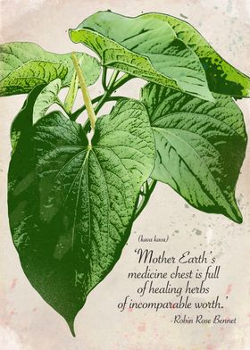 Kavalink - Premium Kava in Canada | 19457 72 Ave, Surrey, BC V4N 5Z4, Canada | Phone: (604) 671-2199
