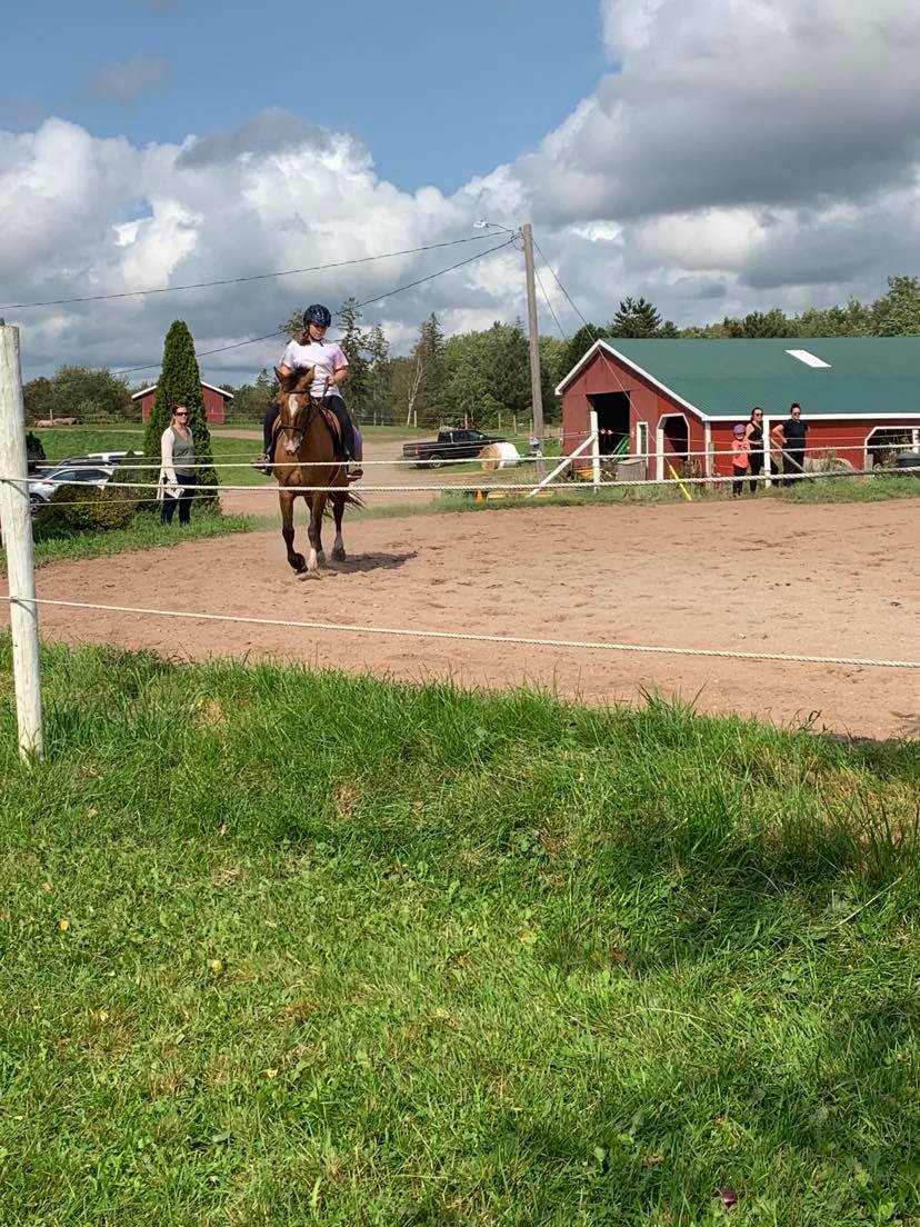 Creekside Equestrian Centre | 2370 Ohio East Rd, Antigonish, NS B2G 2K8, Canada | Phone: (902) 870-6456