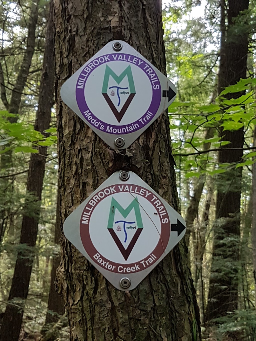 Millbrook Valley Trails | 1 Dufferin St, Millbrook, ON L0A 1G0, Canada | Phone: (705) 932-9329
