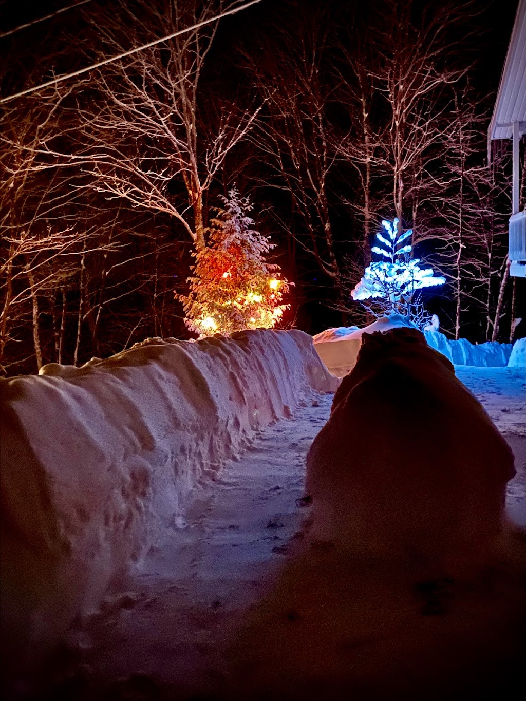 St-adolphe D’howard | 1718 Chem. du Village, Saint-Adolphe-dHoward, QC J0T 2B0, Canada | Phone: (514) 800-8287