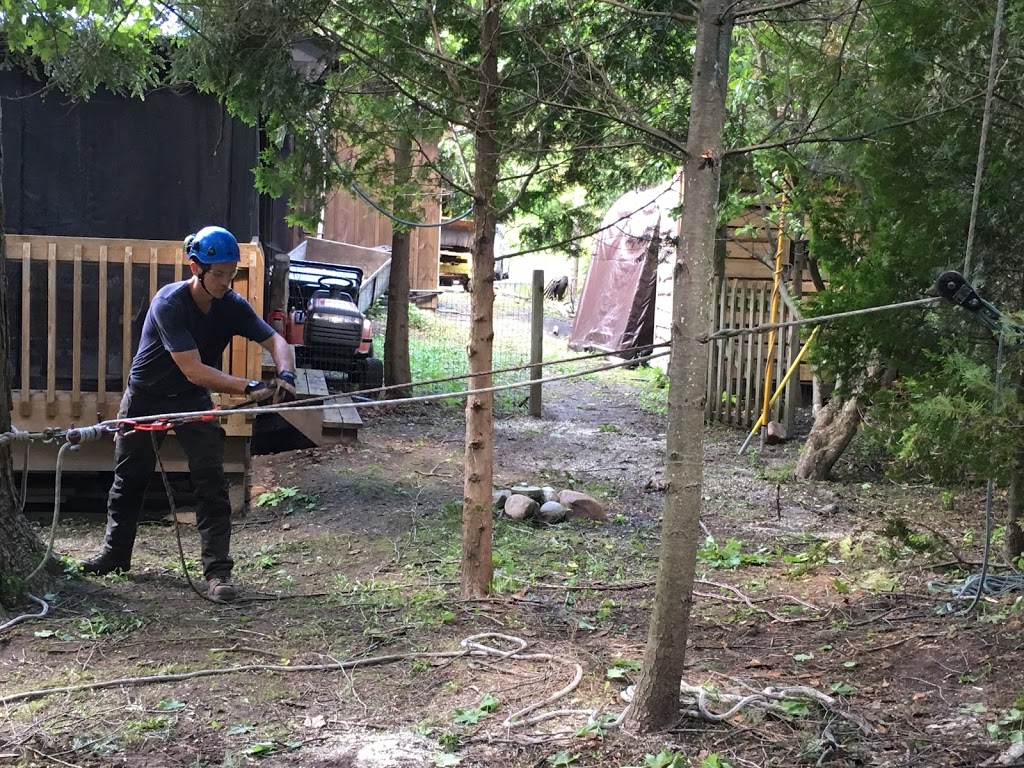 Greenstone Tree Service | 4015 ON-7A, Blackstock, ON L0B 1B0, Canada | Phone: (905) 986-5283