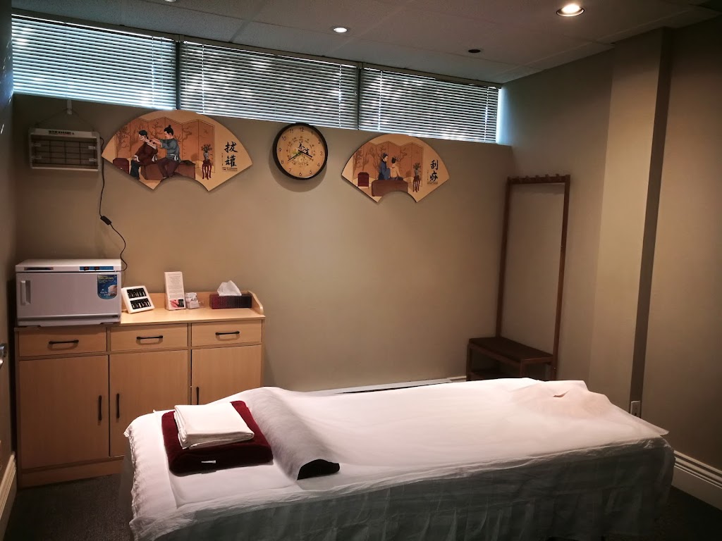 Beyond Yang TCM Therapy Clinic | 2405 Bellevue Ave, West Vancouver, BC V7V 1E1, Canada | Phone: (778) 628-1216