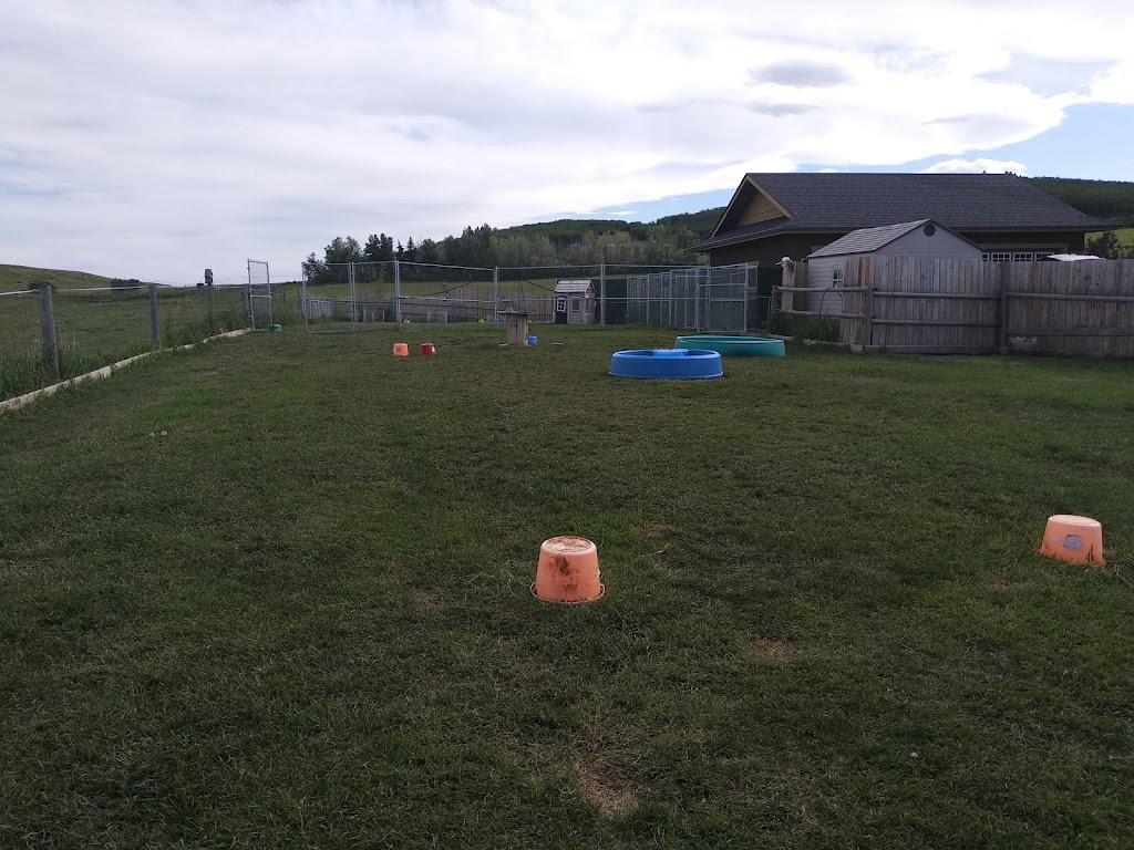 Escape to the Country Dog & Cat Boarding Kennels | Range Road 21, Okotoks, AB T1S 1A1, Canada | Phone: (403) 618-0760