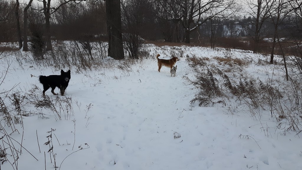 Wintermeyer Park | 495/497 Forestlawn Rd, Waterloo, ON N2K 3X8, Canada