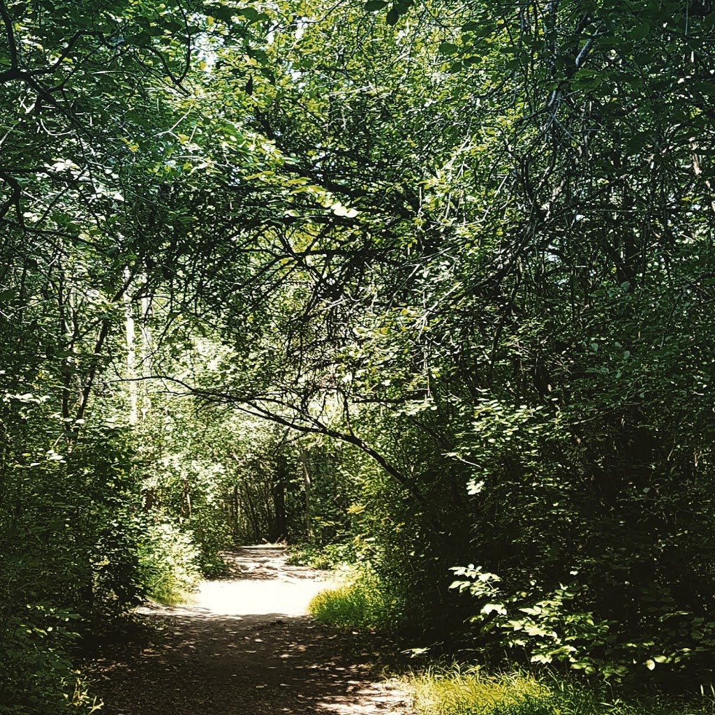 Celebration Forest | 944 Western Counties Road, London, ON N6C 5J1, Canada | Phone: (519) 936-9548