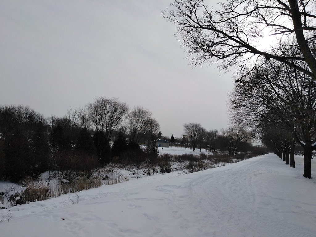 Wilson Park | Kitchener, ON N2C 1Y1, Canada