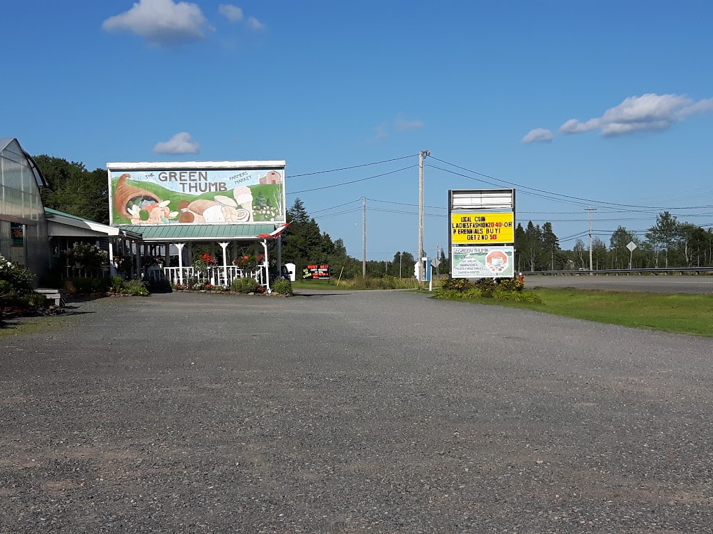 Green Thumb Farmers Market | 4681 NS-4, Westville, NS B0K 2A0, Canada | Phone: (902) 396-3263
