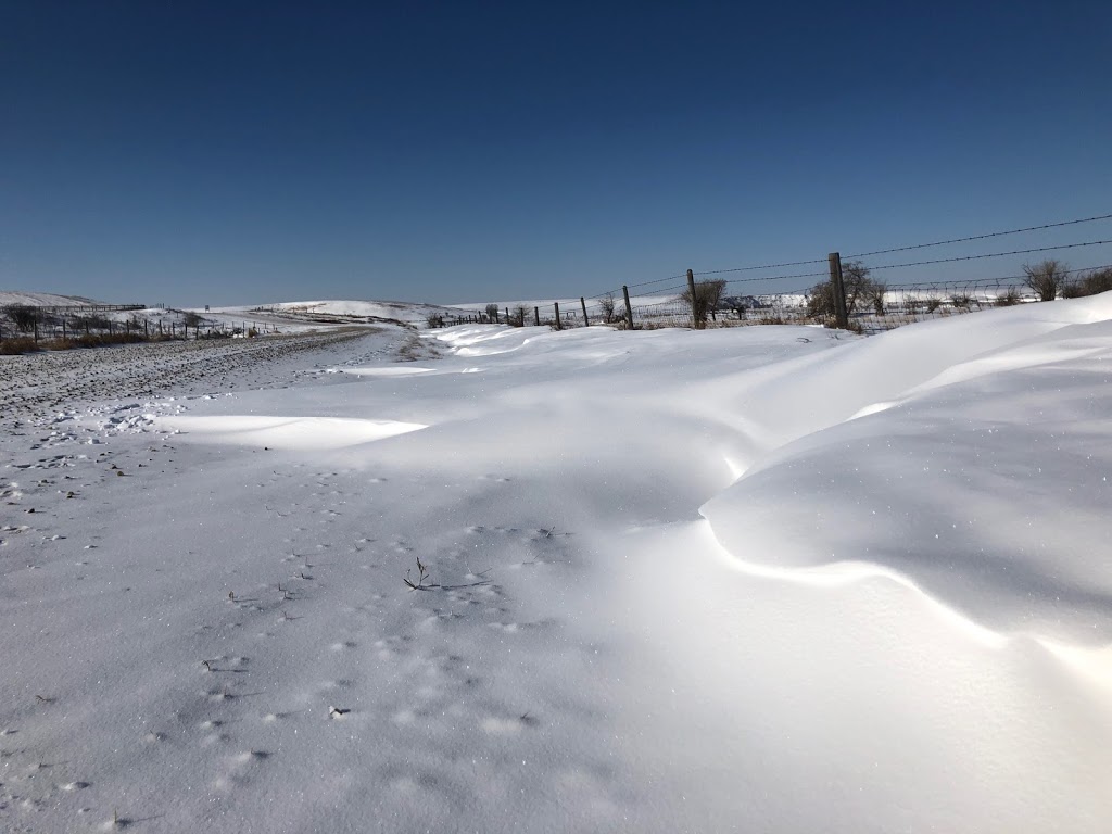 Stahlville Hutterite Colony | Township Rd 272, Wheatland County, AB T0M 0L0, Canada | Phone: (403) 499-8387