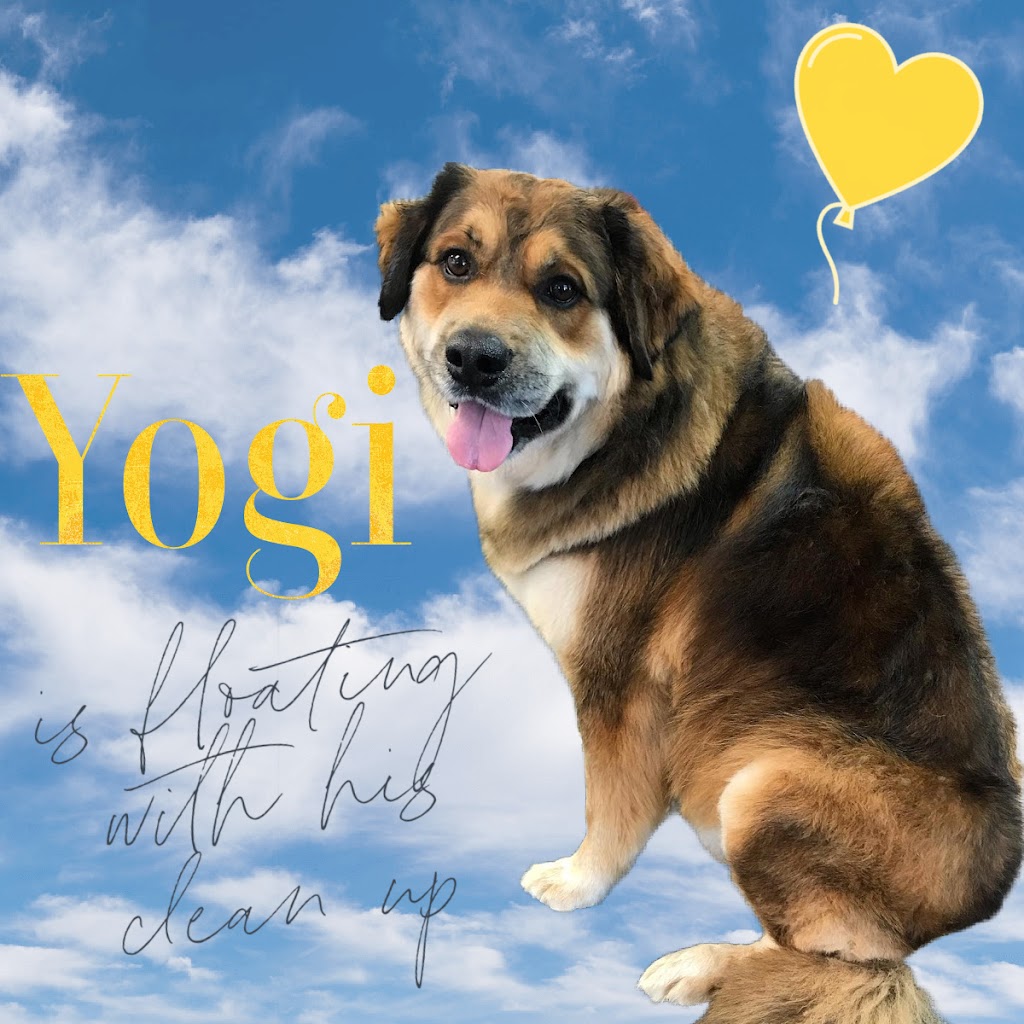Brealey Drive Pet Spa | 1789 Stenson Blvd Unit 5, Peterborough, ON K9K 2H4, Canada | Phone: (705) 748-6262
