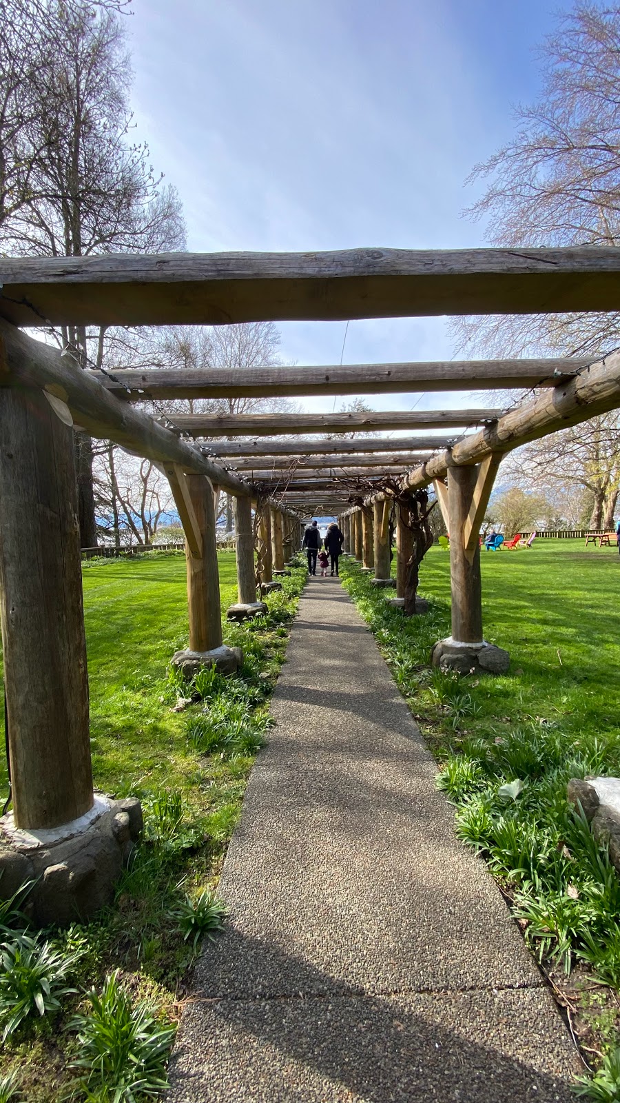 Filberg Park | 61 Filberg Rd, Comox, BC V9M 2S7, Canada | Phone: (250) 339-2715