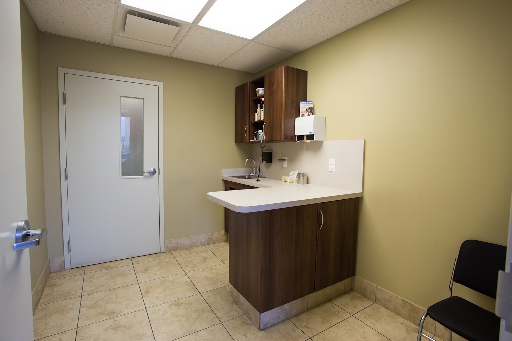 Billings Bridge Animal Hospital | 1220 Rooneys Ln, Ottawa, ON K1H 1C2, Canada | Phone: (613) 737-5007