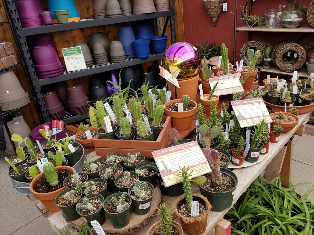 Sage Gardens Greenhouses | 3410 St Marys Rd, Winnipeg, MB R2N 4E2, Canada | Phone: (204) 257-2715