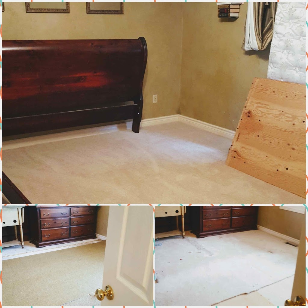 ProCarpet | 1178 Kelsey Ct, Oakville, ON L6H 5E1, Canada | Phone: (905) 849-4847
