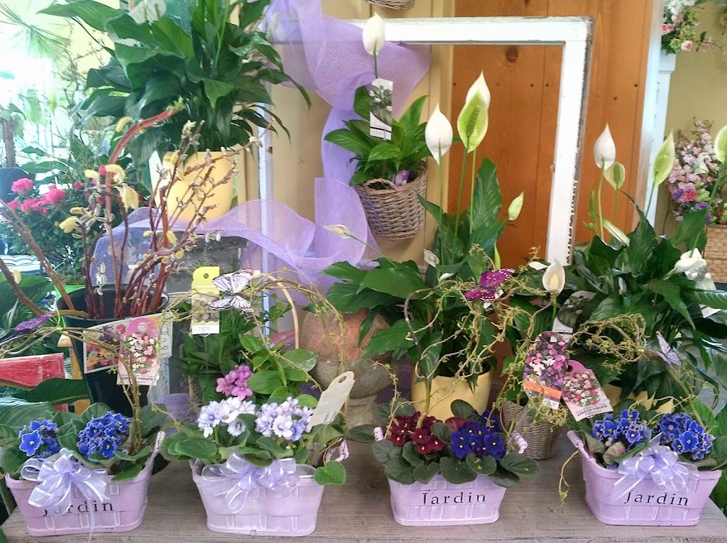 VanWees Mostly Roses | 807 Dundas St, Woodstock, ON N4S 1G2, Canada | Phone: (519) 537-5564