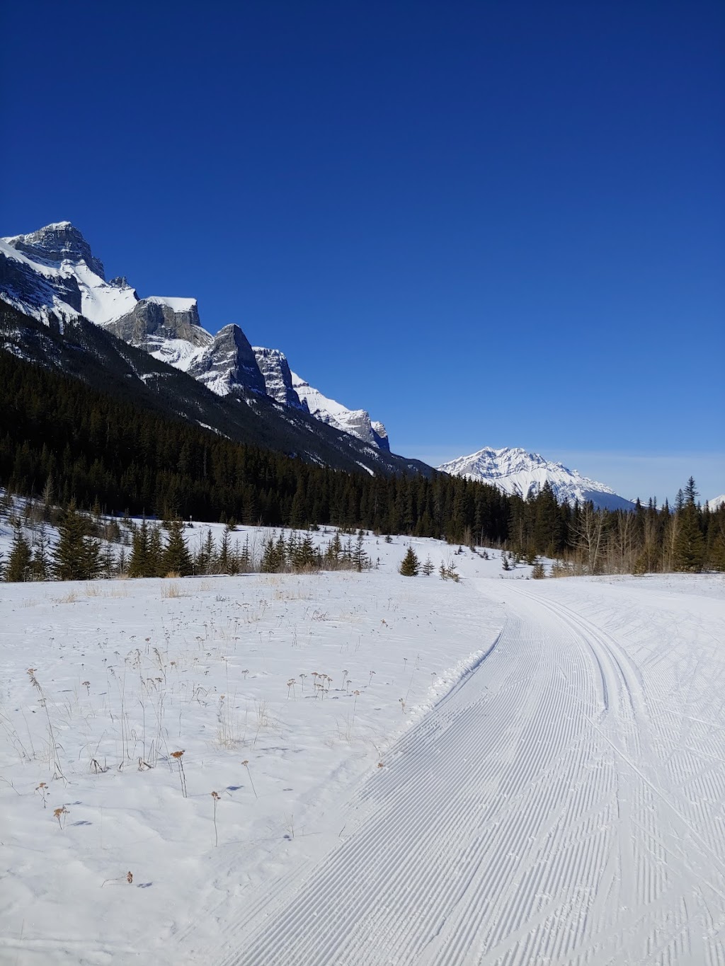 Canmore Nordic Centre | 1988 Olympic Way, Canmore, AB T0L, Canada | Phone: (403) 678-2400