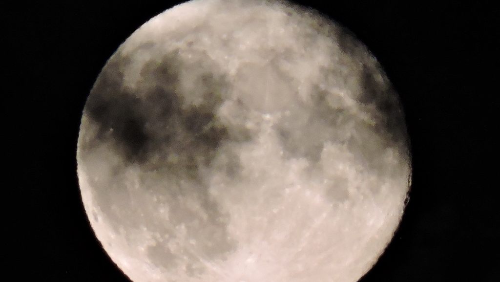 Moon Dragon Designs | 74 Jumping Pound Terrace, Cochrane, AB T4C 0K2, Canada | Phone: (403) 400-3202