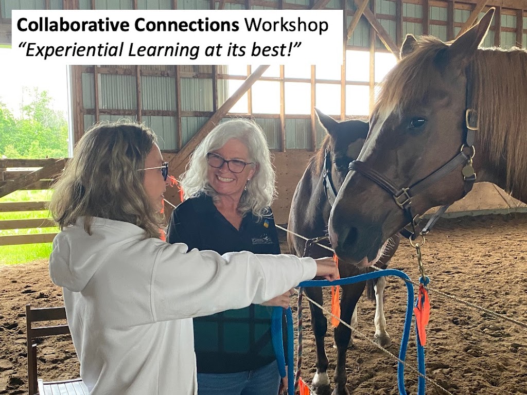 Collaborative Connections | 514 Ramsay Concession 12, Almonte, ON K0A 1A0, Canada | Phone: (613) 327-1801