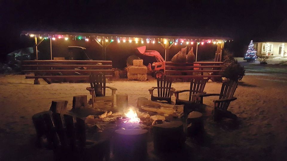 MacGowans Christmas Tree Farm | 4611 Mohrs Rd, Kinburn, ON K0A 2H0, Canada | Phone: (613) 862-6835