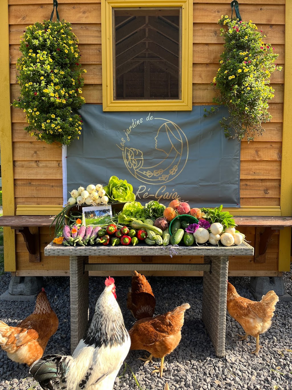 Les jardins de Ré-Gaia|Ferme maraîchère|Kiosque libre-service à la ferme | 26 Chem. de la 3 Concession, Noyan, QC J0J 1B0, Canada | Phone: (438) 526-7915