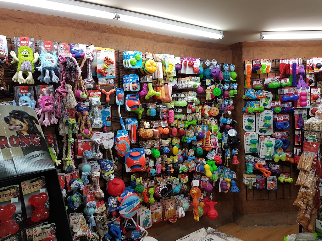 Animalerie Chez Chanel | 392 Rue Saint-Jacques S, Coaticook, QC J1A 2N9, Canada | Phone: (819) 849-7913