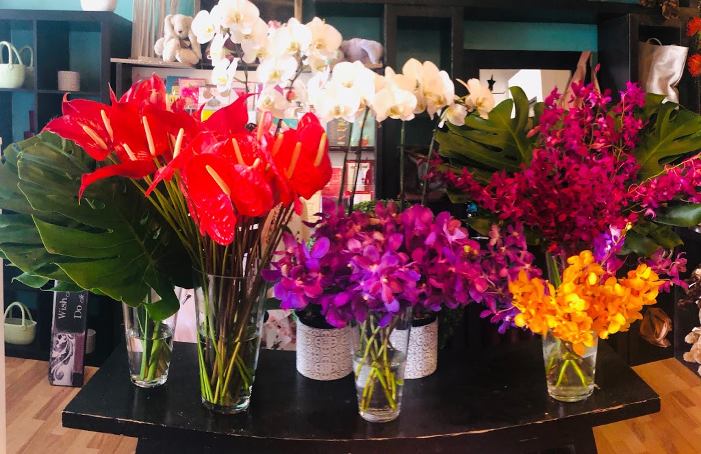 Hypnotic bloom | 10931 23 Ave NW, Edmonton, AB T6J 7B9, Canada | Phone: (780) 466-9111