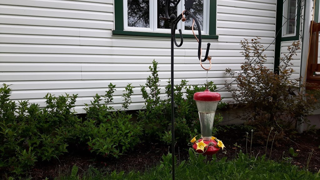 Ferme Goulab | 2382 2e Rang E, Saint-Joseph-de-Coleraine, QC G0N 1B0, Canada | Phone: (418) 423-4159