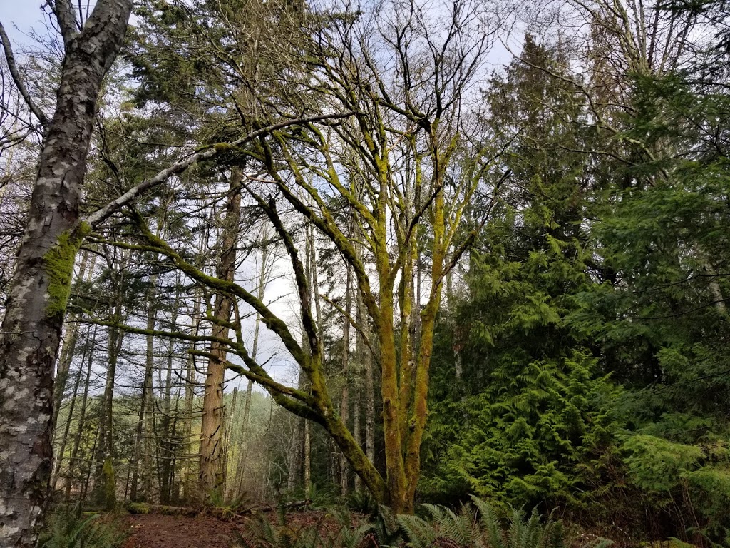 Blinkhorn Nature Park | 1194 Kangaroo Rd, Victoria, BC V9C 4C9, Canada