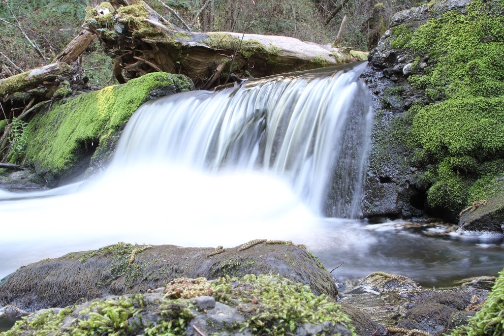 Wittys Lagoon | Metchosin, BC V9C 4H8, Canada | Phone: (250) 478-3344